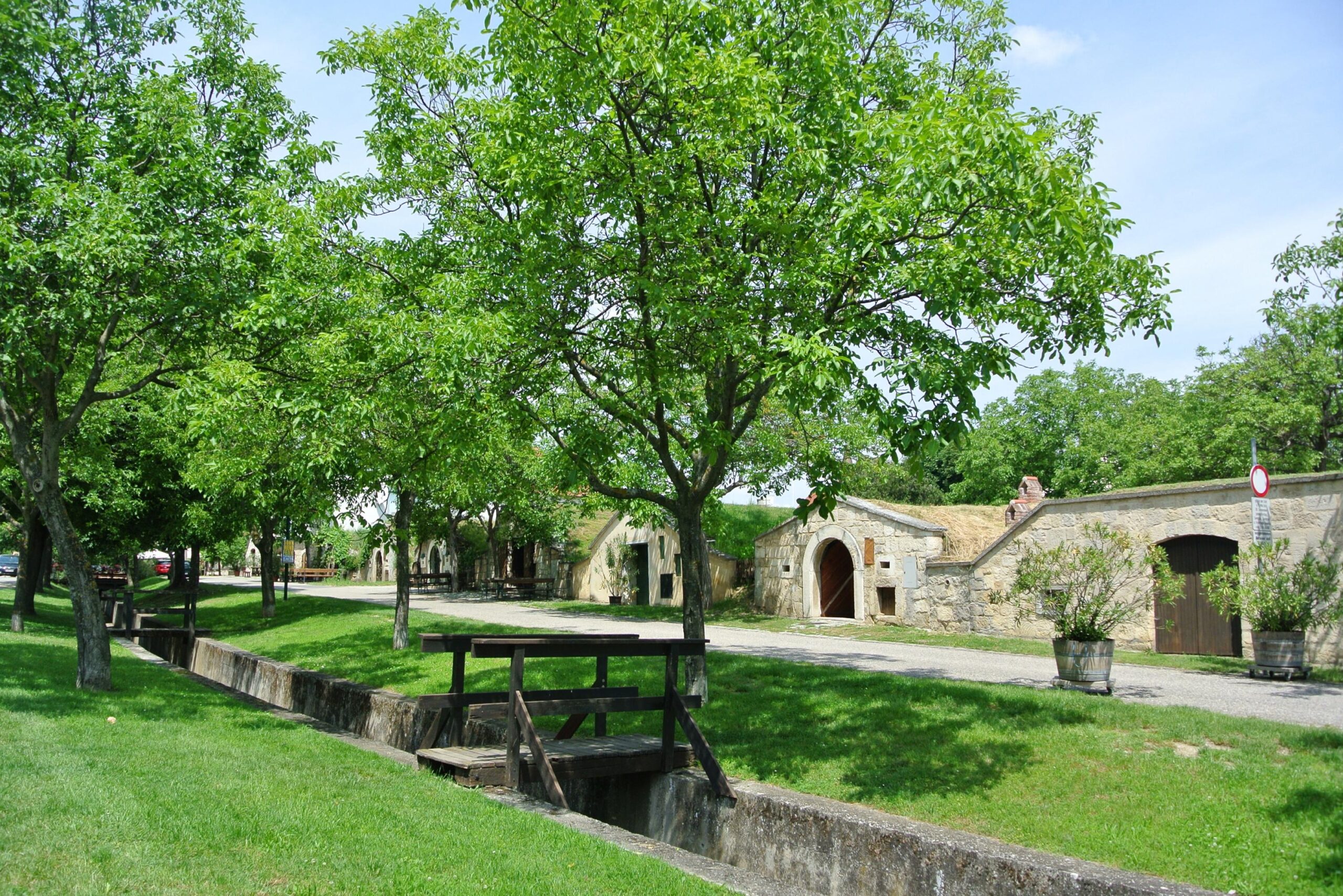 Purbach pincesor 4